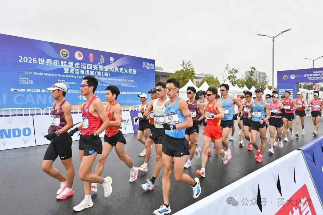 谈球吧指定入口